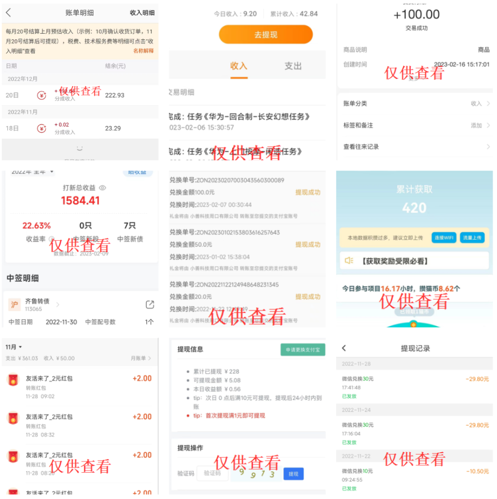 图片[32]-星迅阁-独家揭秘网络新手如何快速赚取第一桶金-星迅阁