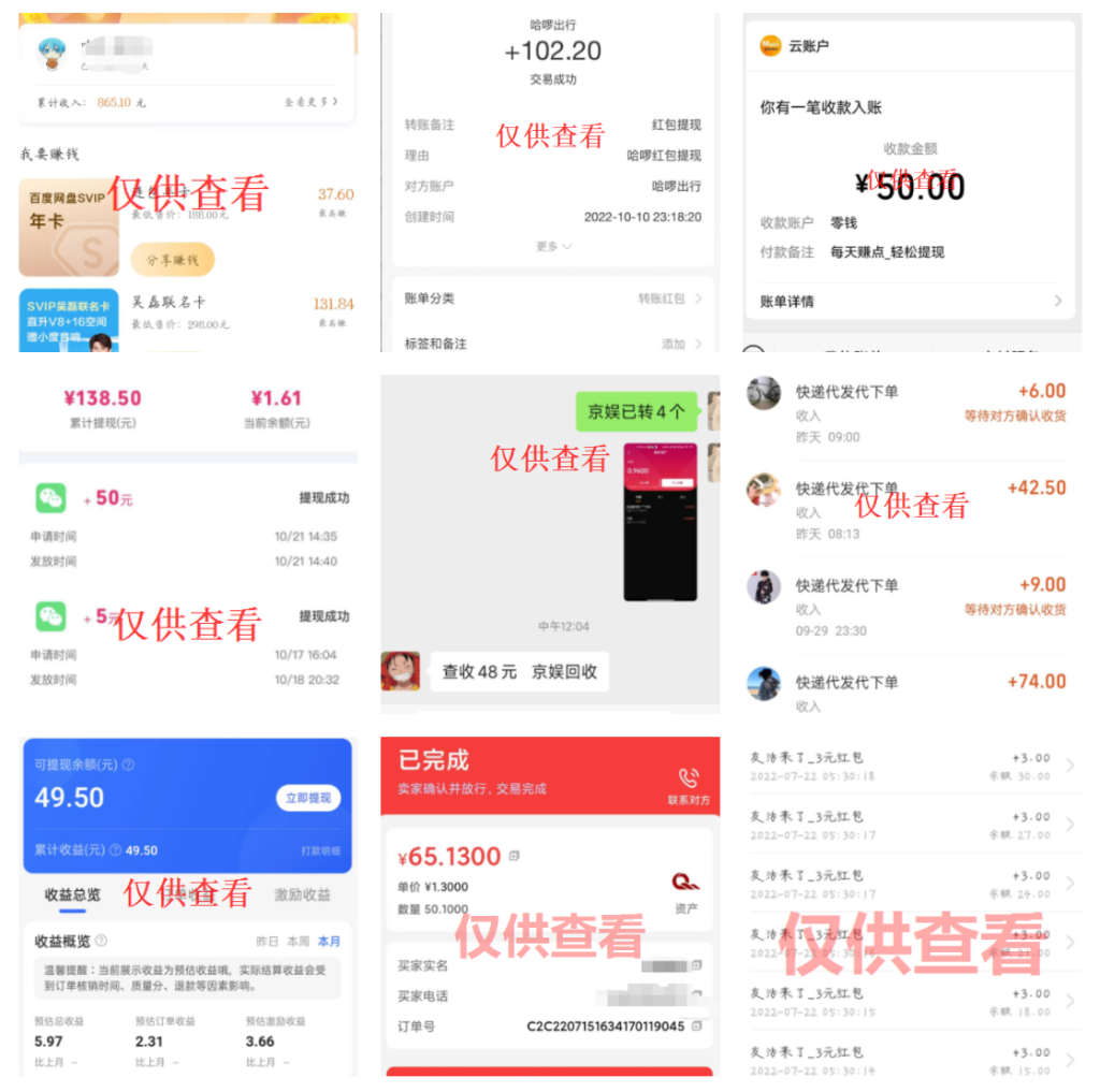 图片[33]-星迅阁-独家揭秘网络新手如何快速赚取第一桶金-星迅阁